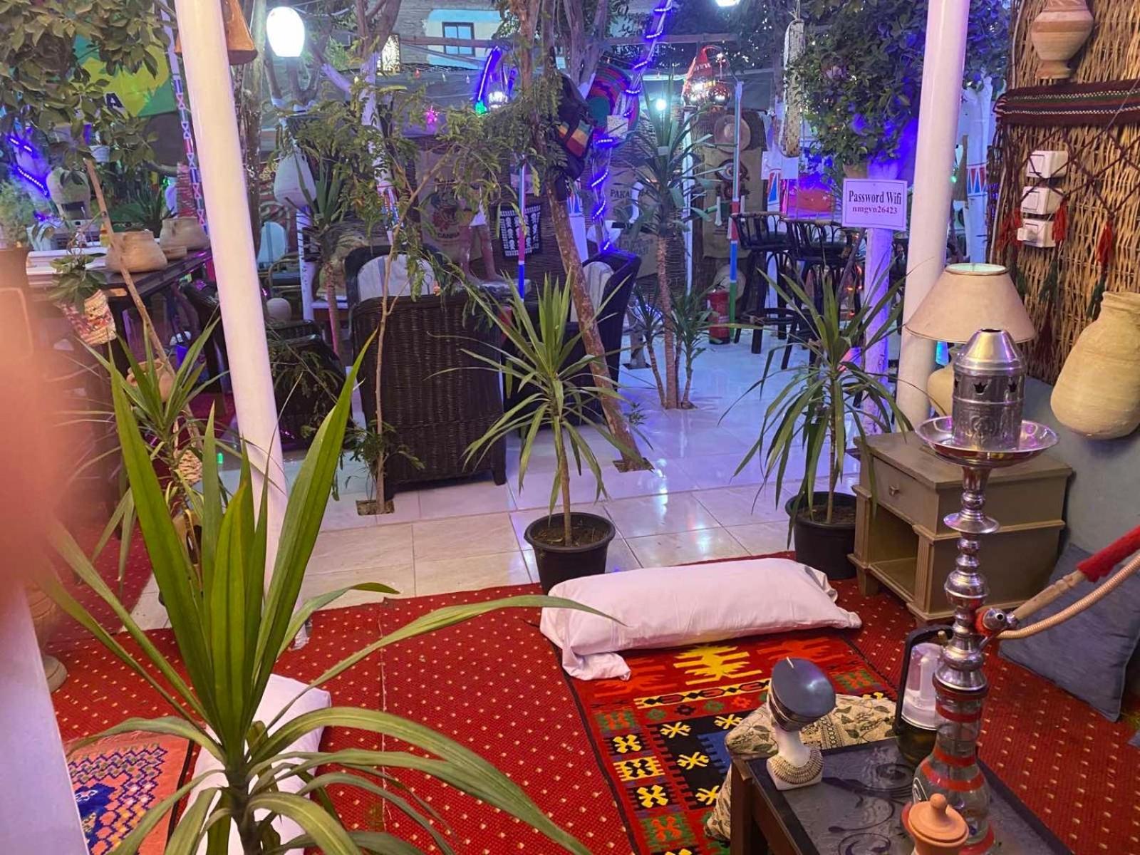 Peace Garden Hostel & Camp Luxor Buitenkant foto